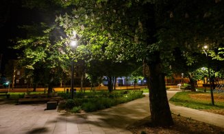 Cluj-Napoca: Parada castanilor înfloriți în Piața Ștefan Cel Mare