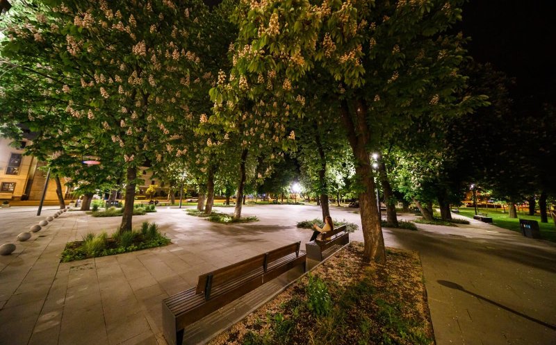 Au înflorit castanii din Parcul Ștefan cel Mare