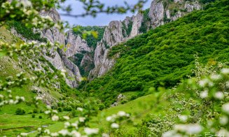 Început de Mai divin în Cheile Turzii