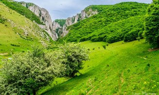 Început de Mai divin în Cheile Turzii