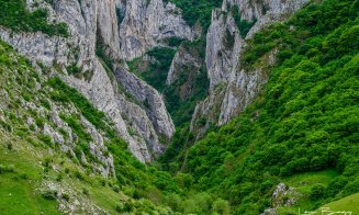 Început de Mai divin în Cheile Turzii