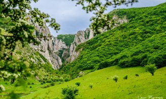 Început de Mai divin în Cheile Turzii