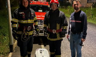 Pui de vulpe, salvat în Cluj-Napoca. A căzut într-un canal