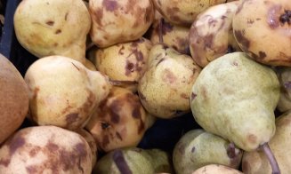 Dacă nu doriţi fructe şi legume stricate, înarmaţi-vă cu atenţie şi răbdare! Protecţia consumatorului, cel puţin 12 sfaturi pentru cumpărători