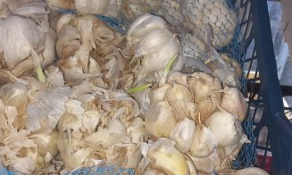 Dacă nu doriţi fructe şi legume stricate, înarmaţi-vă cu atenţie şi răbdare! Protecţia consumatorului, cel puţin 12 sfaturi pentru cumpărători