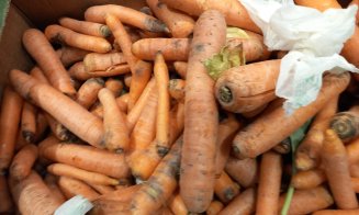 Dacă nu doriţi fructe şi legume stricate, înarmaţi-vă cu atenţie şi răbdare! Protecţia consumatorului, cel puţin 12 sfaturi pentru cumpărători