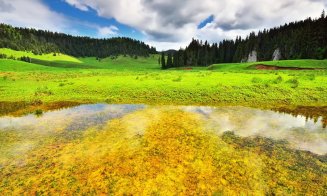 Poiana fără seamăn din Apuseni. Este la 100 de km de Cluj