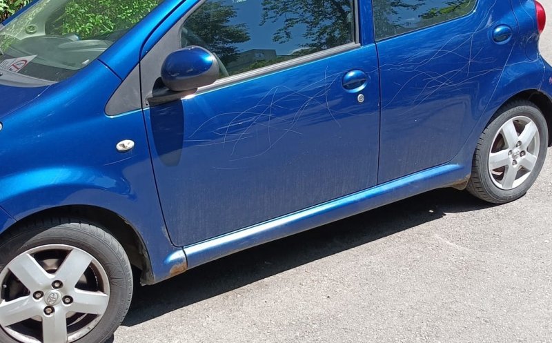 "Încă o victimă a vandalismului" / "Data viitoare o să trec cu căruciorul peste ea"