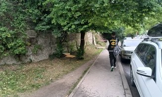 Prăvale gardul în Cluj-Napoca / Pericol pentru copiii care merg la şcoală