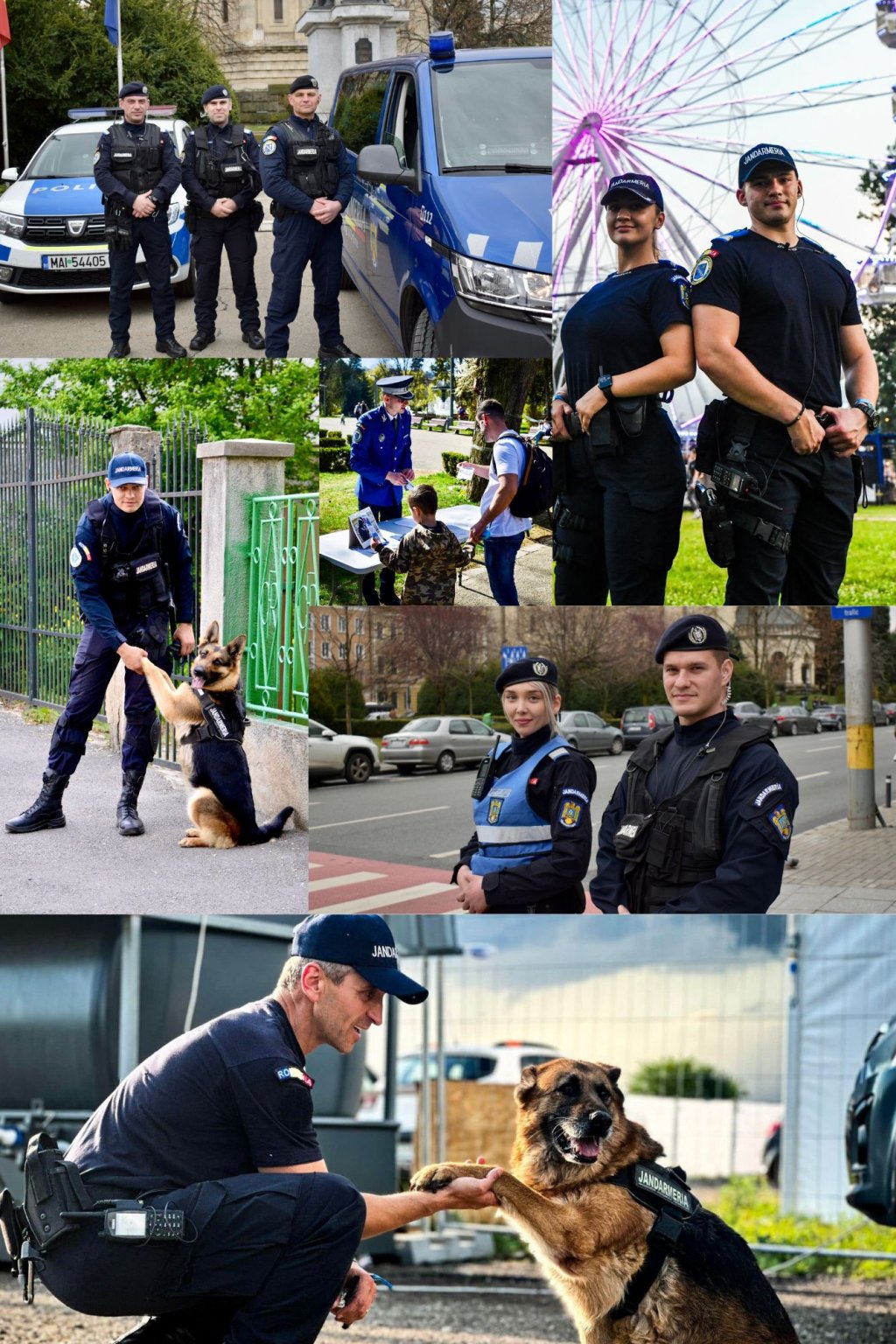 Angajări la Jandarmeria Cluj-Napoca! Se scot la concurs mai multe posturi