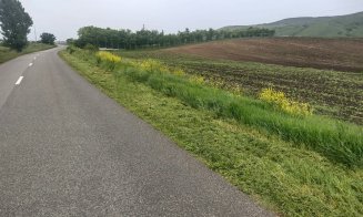 Curățenie pe drumurile județene din Cluj! Va crește vizibilitatea și siguranța circulației