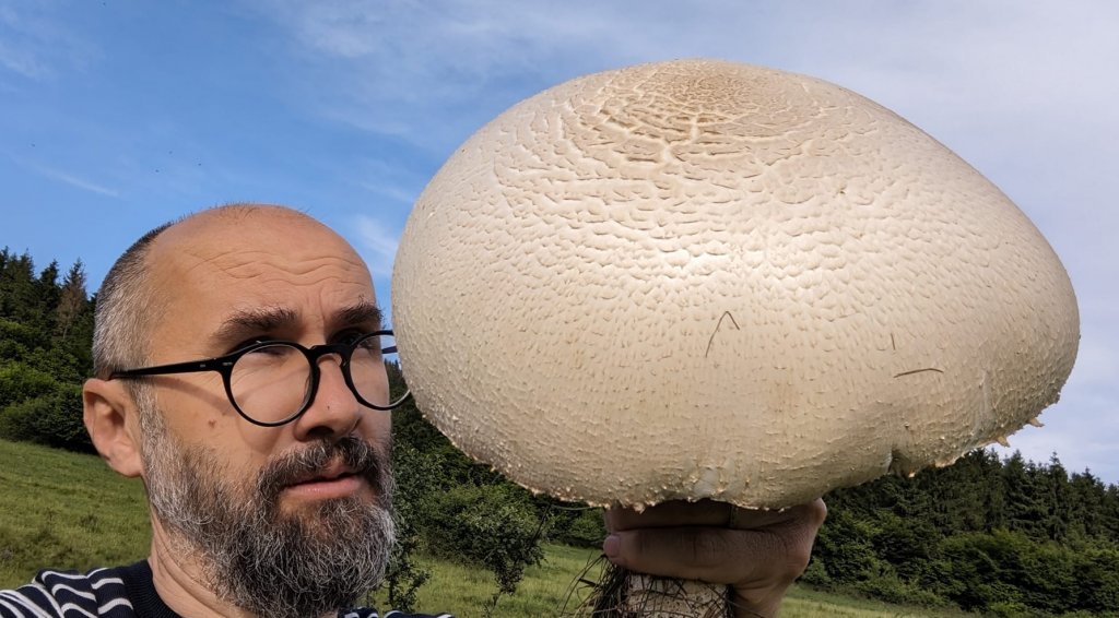 Descoperire inedită. Un clujean a dat peste o ciupercă gigant