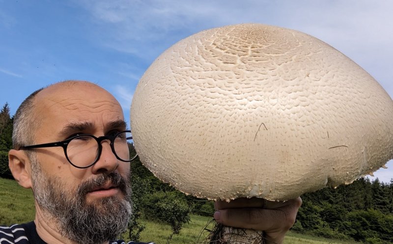 Descoperire inedită. Un clujean a dat peste o ciupercă gigant