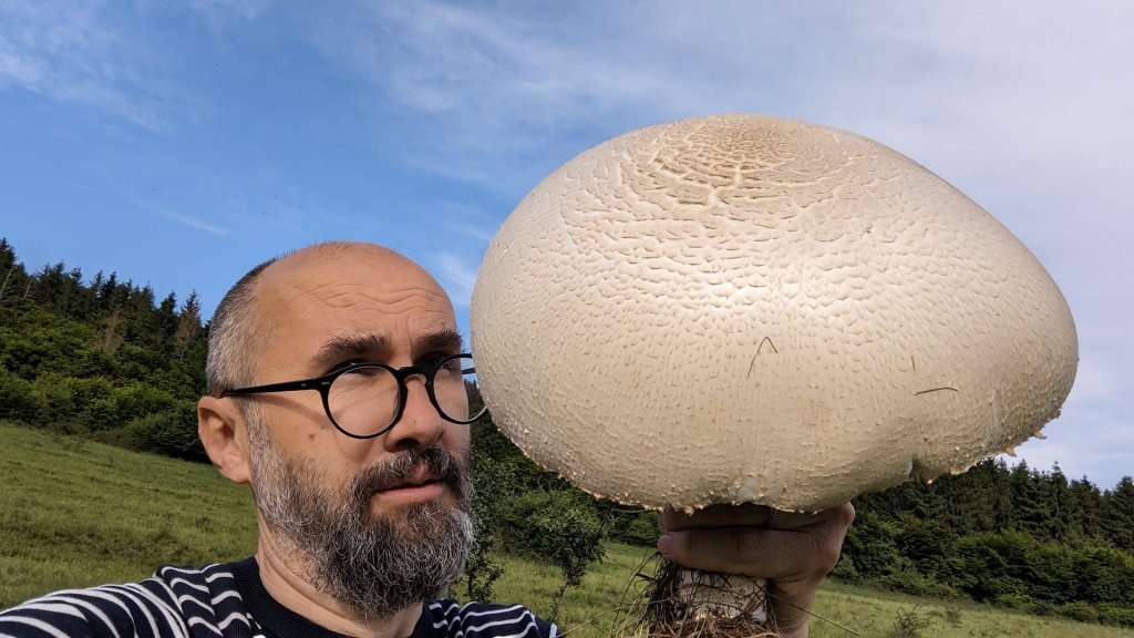 Descoperire inedită. Un clujean a dat peste o ciupercă gigant