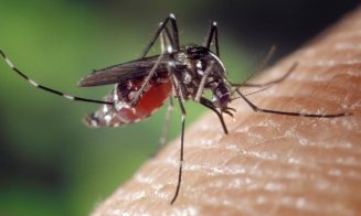 Număr ridicat de cazuri de febră denga/ Ce simptome au cei infectați