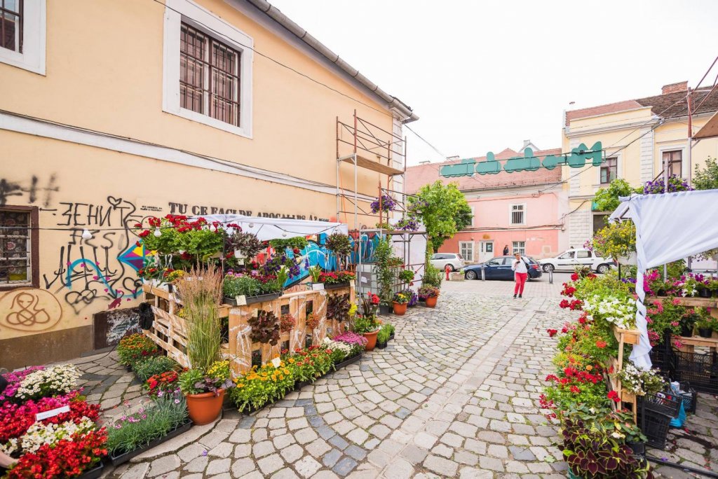 Ziua de Cluj Strada Potaissa redevine piața de flori „altfel”