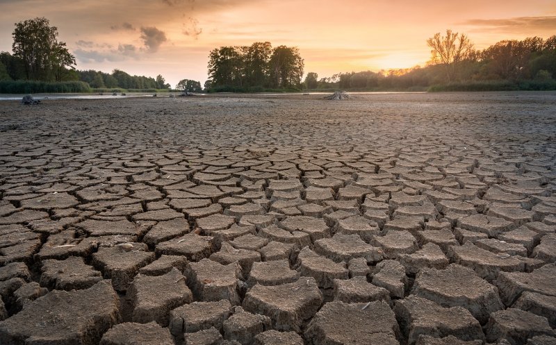 Ziua Mediului. O treime din România şi 40% din suprafaţa agricolă, în zone cu risc de deşertificare