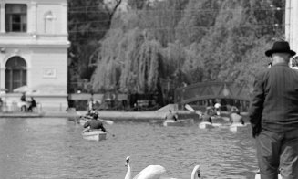 Bărcile din parc, în perioada 1903-1976