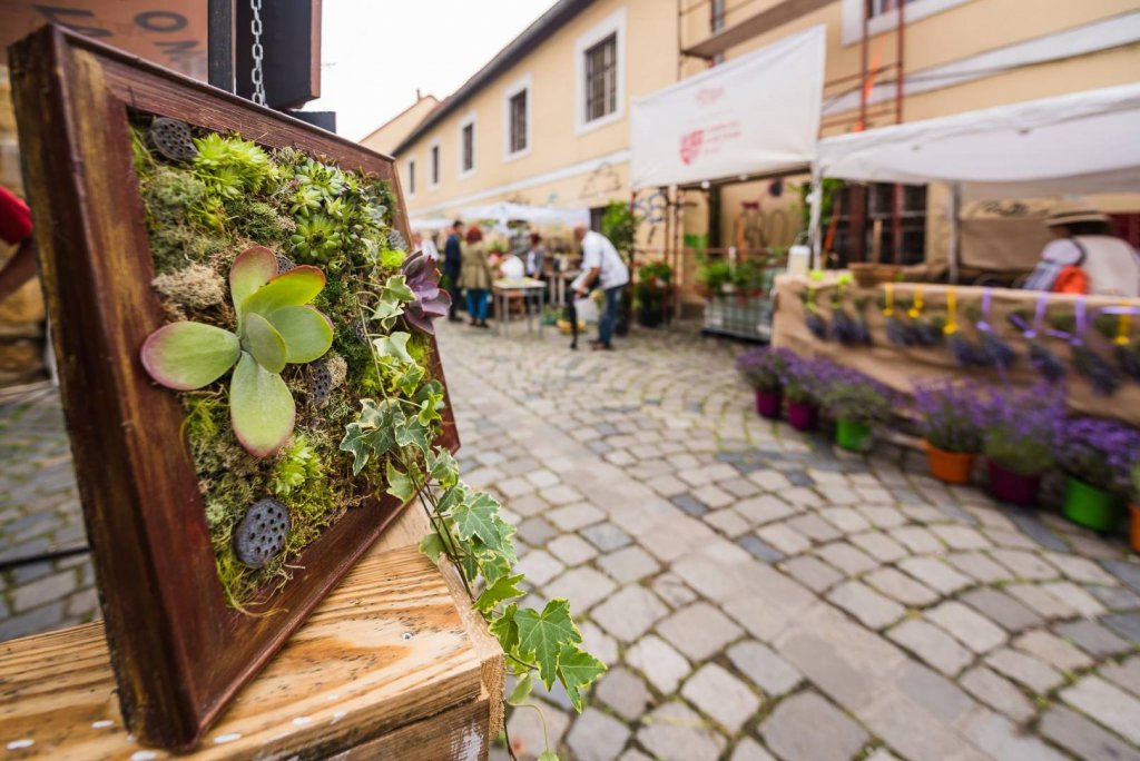 Ziua de Cluj Piața de flori „altfel” din ClujNapoca revine pe