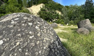 ”Pietrele vii”, o ciudățenie a naturii, inclusiv la Cluj