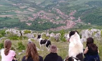 A ”reînviat” un sat părăsit din Transilvania, la graniţa judeţului Cluj: "Am folosit doar piatră, lemn și var stins"