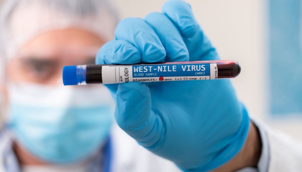 FOCAR de West Nile în Israel! Virusul a provocat al treilea deces/ În România, virusul este transmis de mai multe specii de țânțari
