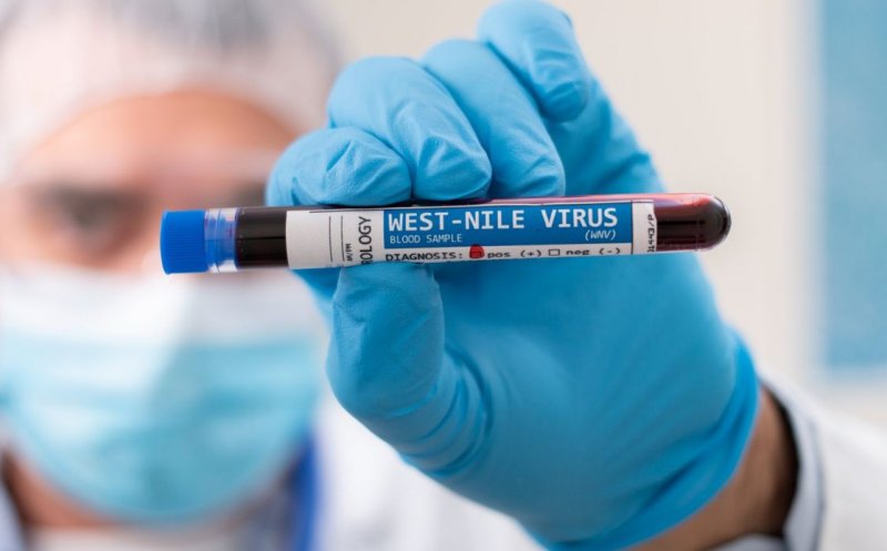 FOCAR de West Nile în Israel! Virusul a provocat al treilea deces/ În România, virusul este transmis de mai multe specii de țânțari