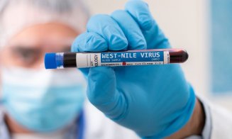 FOCAR de West Nile în Israel! Virusul a provocat al treilea deces/ În România, virusul este transmis de mai multe specii de țânțari