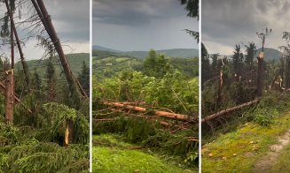 Tragedie în timpul furtunii: Un bărbat a murit pe loc după ce a fost lovit de fulger