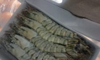 Val de nereguli pe litoralul românesc. ASNVSA a dat amenzi de peste 400.000 lei într-o săptămână. Ce probleme au găsit inspectorii