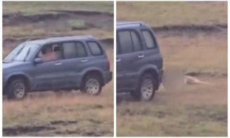 Cruzime extremă într-o comună din Cluj: Câine legat și tras de mașină pe un câmp