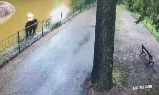 Un urs se plimbă LIBER de câteva nopți prin Grădina Zoologică Târgu Mureș și a omorât o căprioară / Reprezentanții de la ZOO: ”Grădina Zoologică este 