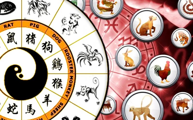 Zodiac chinezesc pentru săptămâna 8-14 Iulie 2024. Ce zodii vor primi niște bani dintr-o sursă neașteptată