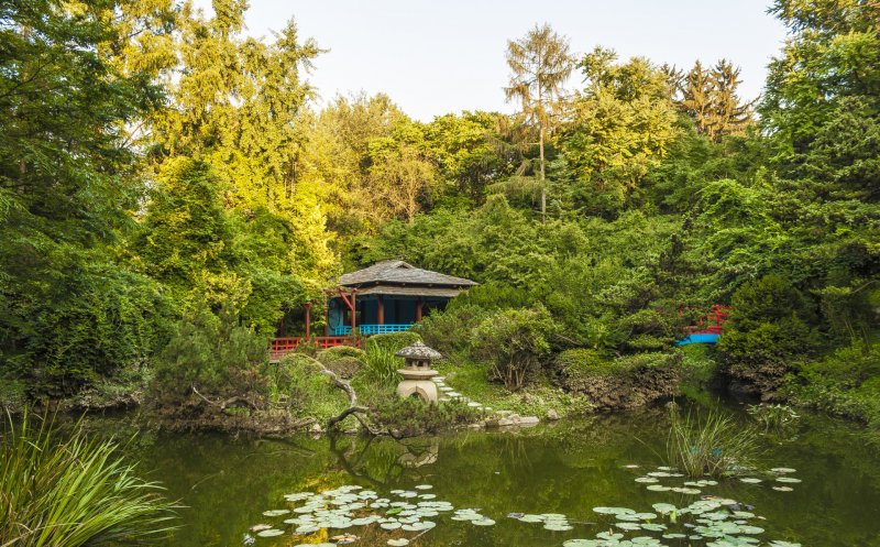 Weekend cu multe surprize la Grădina Botanică