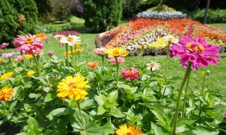 Străzi și locuri de poveste din Cluj-Napoca | Grădina Botanică