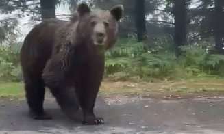 IMAGINILE ZILEI: Moș Martin, "amendat" de polițiști pentru pătrundere pe sens interzis pe Transfăgărășan!