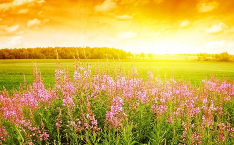 Meteorologii au actualizat prognoza pe următoarele două săptămâni! Când revine canicula