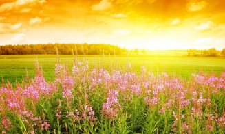 Meteorologii au actualizat prognoza pe următoarele două săptămâni! Când revine canicula