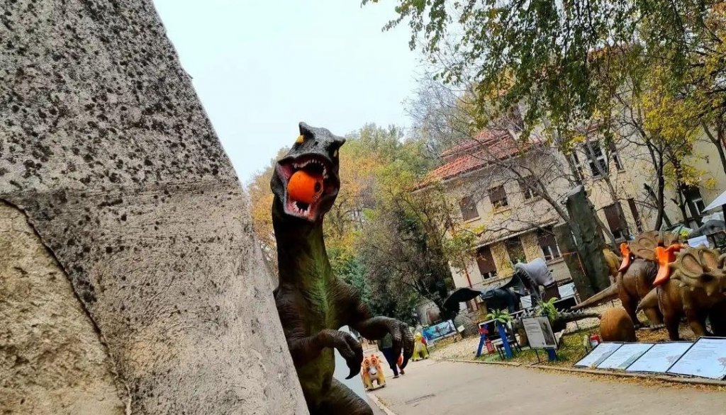 Parc de distracții, închis temporar de Protecția Consumatorilor. Ce amenzi a dat ANPC