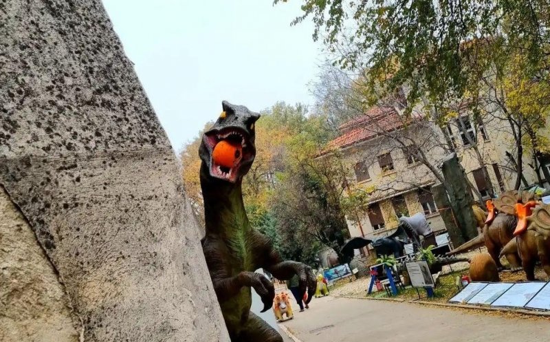 Parc de distracții, închis temporar de Protecția Consumatorilor. Ce amenzi a dat ANPC