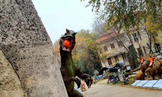 Parc de distracții, închis temporar de Protecția Consumatorilor. Ce amenzi a dat ANPC
