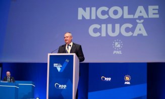 Ce a spus Nicolae Ciucă de întâlnirea cu șefa USR: „Să vadă întâi care sunt problemele din interiorul partidului său”