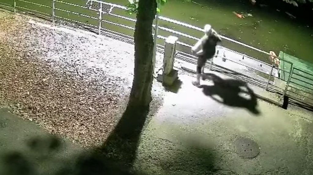 Cluj: Vandalism ca "distracție". Doi tineri surprinși de camerele de supraveghere în timp ce aruncau tot ce apucau în lacul unui parc