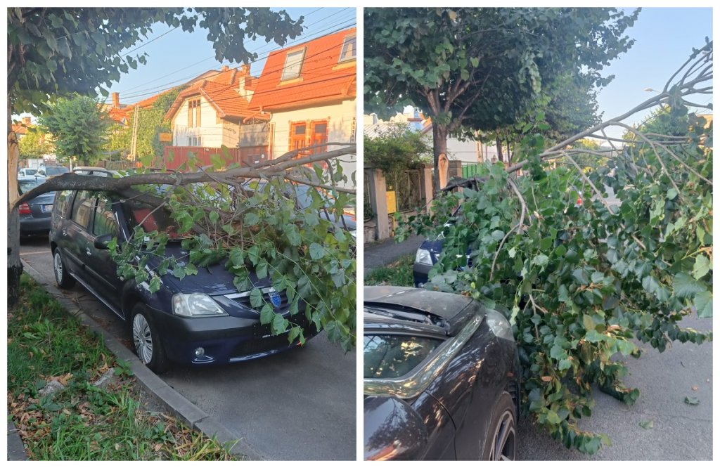 Incident în Cluj-Napoca: O bucată de copac s-a rupt și a căzut peste o mașină parcată