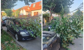 Incident în Cluj-Napoca: O bucată de copac s-a rupt și a căzut peste o mașină parcată