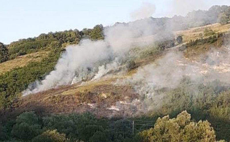 Incendiu de vegetație într-o comună din Cluj: Un hectar de teren a fost cuprins de flăcări