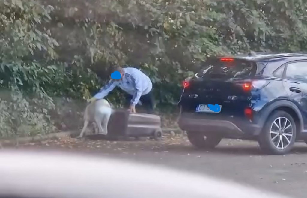 Caz șocant: Un șofer cu numere de Cluj și-a abandonat câinele pe marginea unui drum, după ce l-a băgat într-un tomberon