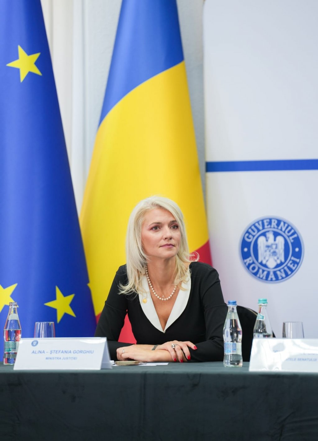 Derapaj din partea Ministrului Justiției? Alina Gorghiu: „Aducem gunoaiele din societate înapoi în țară”