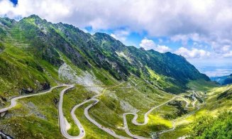 „Safari cu urși” pe Transfăgărășan, noua modă în turismul autohton