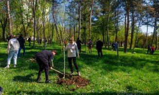 3.769 arbori cu balot au fost plantați la Cluj-Napoca în perioada 2023-2024